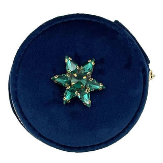 Jewelry Travel Pot & Star Brooch